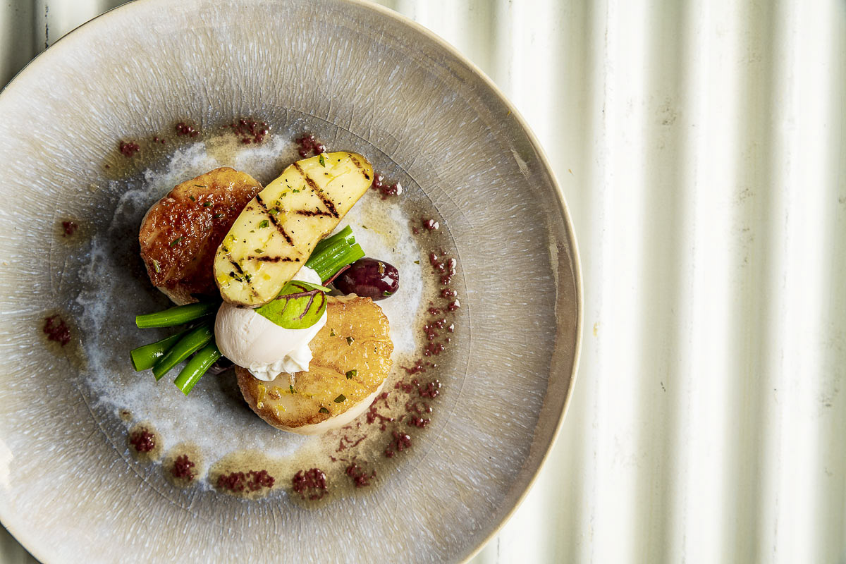 Gourmet meal with grilled halloumi, poached egg, asparagus, and sauce on an artistic plate.